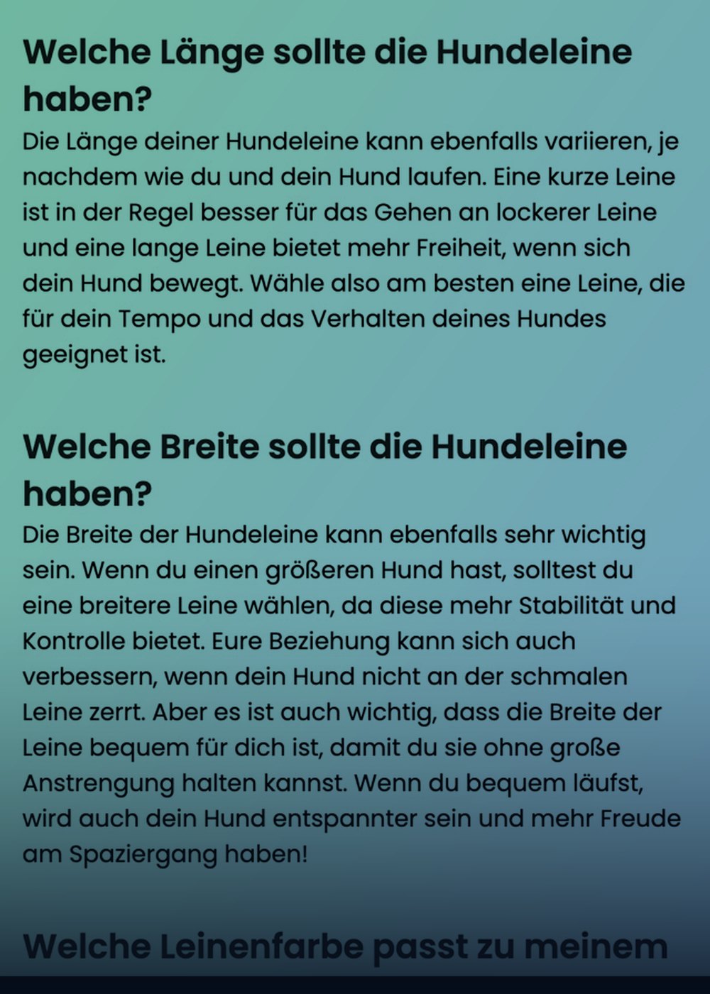 SEO & GEO Optimierung